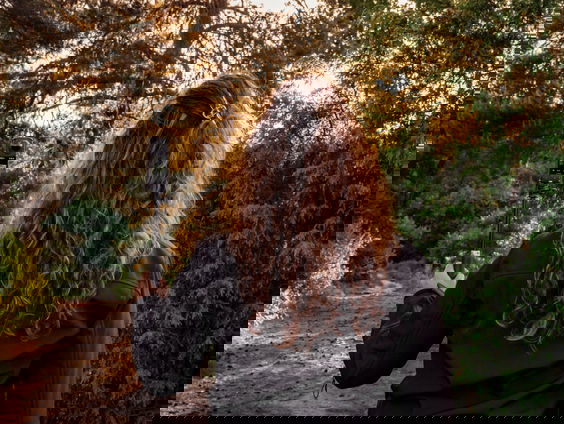 Tina filmt heide en bos voor wie niet meer zelf kan lopen