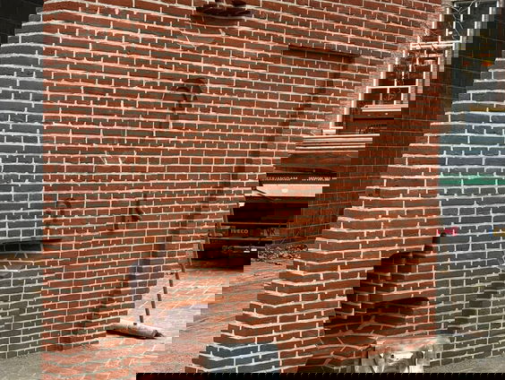 A Minute Of Shelter”: Monument tegen geweld tegen vrouwen onthuld in Rotterdam