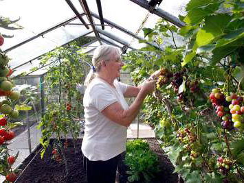 Volkstuinvereniging Blijdorp opent logeerhuisje voor mensen die het moeilijk hebben