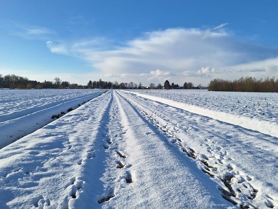 Begin de winter met poezië