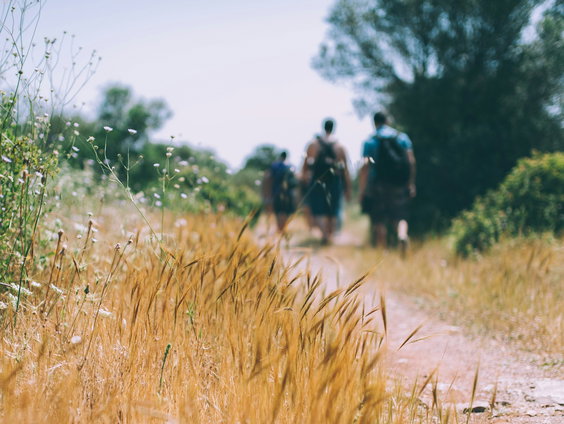 Je mobiele telefoon achterlaten en wandelen: Buiten Bereik Wandelroutes