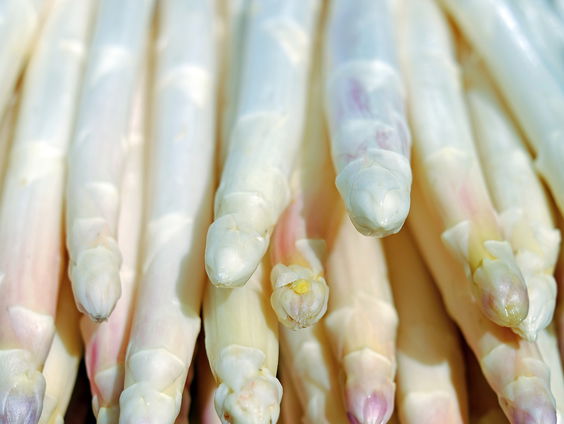 Van asperge-ijs tot -jam, Erik en Frank proeven "het witte goud"