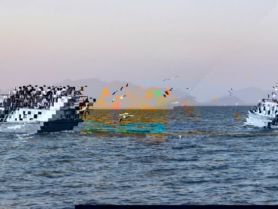 Asielstop Kreta: 'Het wordt als een crisis geframed, maar we hadden dit kunnen zien aankomen'