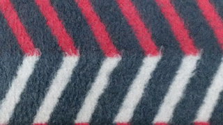 De Leidse Deken: van wereldberoemd naar grotendeels vergeten