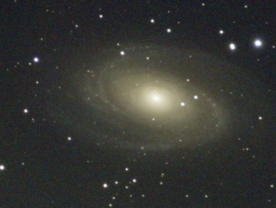 Theo Jurriëns kijkt naar boven tijdens de Landelijke Sterrenkijkdagen