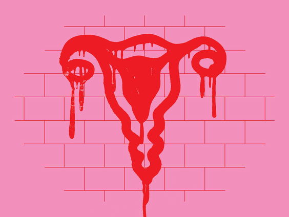 'Battlefield of Dreams' hernieuwt leus 'Baas in eigen buik'