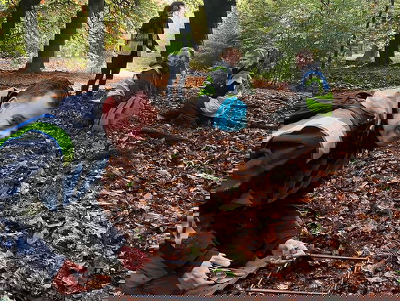 Vijftig jaar beukennootjes tellen op de Hoge Veluwe