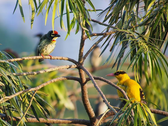 Kettingreactie 14 januari 2025