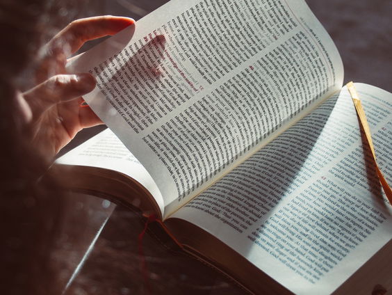 Welke rol speelden kinderboeken in de Tweede Wereldoorlog?