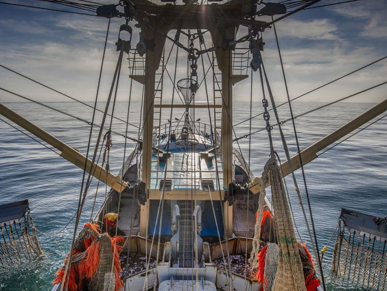 Ontwikkelplan voor visserij moet bedrijven ondersteunen