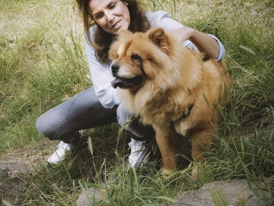 Diergezondheid onder druk: hoe een sterke band medische problemen kan voorkomen