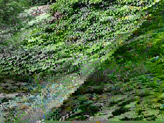 Nationaal Park Alle Tuinen