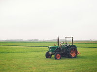 Wat wil het kabinet doen om het land van het stikstofslot te halen?