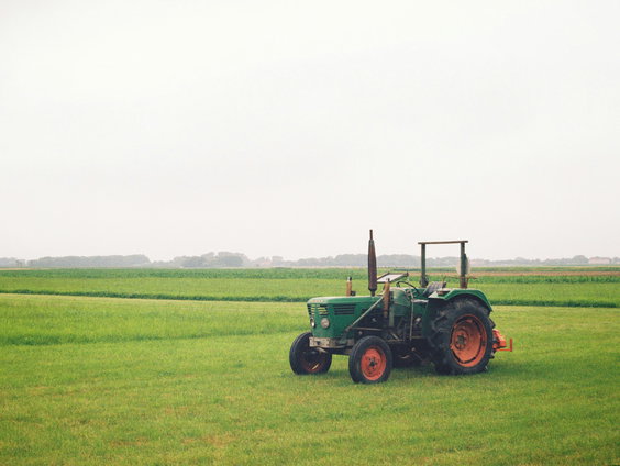 Wat wil het kabinet doen om het land van het stikstofslot te halen?