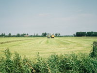 De nieuwe stikstofplannen