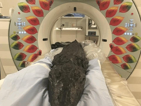 Vishaak in 3000 jaar oude krokodil is 'smoking gun'