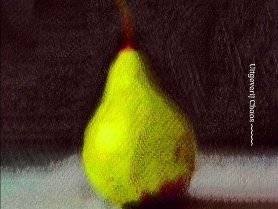 Boek van de Week: de Bewaring