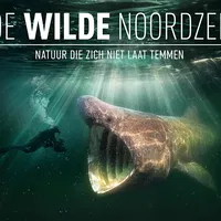Gouden Kalf-winnaar ‘De Wilde Noordzee’ maandag 5 januari op tv