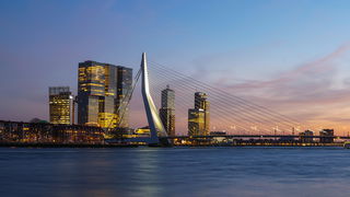 Een spoedcursus Rotterdams van Roel Pot