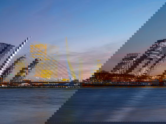 Een spoedcursus Rotterdams van Roel Pot