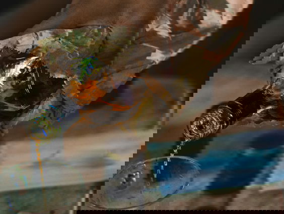 De Lees BV: Wat 'verbijsterend eerlijke' literatuur over alcohol ons kan leren