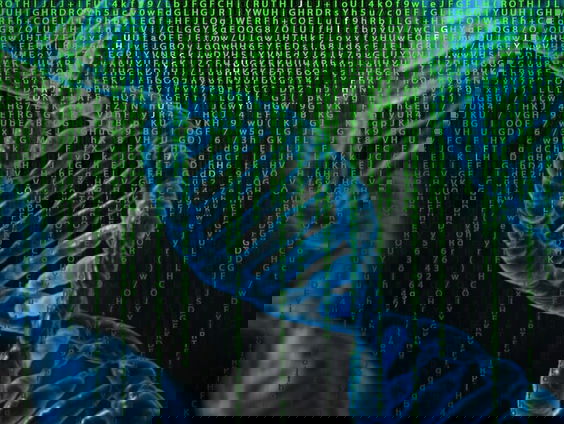 Komt er een medicijn tegen de Katwijkse ziekte?