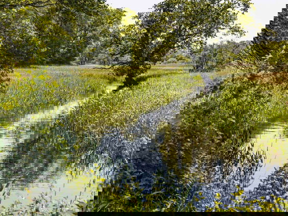 Drentse Aa is museum | Frisse blik #5