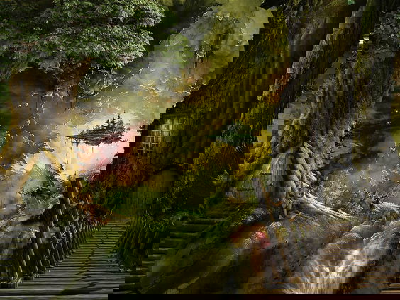 Kettingreactie 25 maart 2025