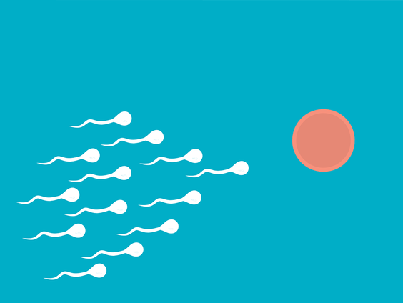 Stichting Donorkind vraagt aandacht voor de rechten en belangen van mensen die zijn verwekt met donorzaad ...