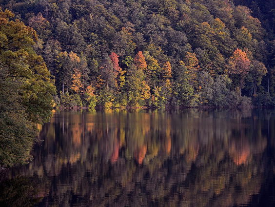 Kettingreactie 26 maart 2025