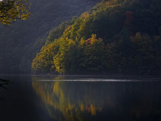 Kettingreactie 20 juni 2025