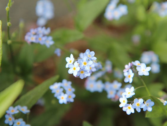 Theaterstuk wordt opgedragen aan iedereen die gemist wordt