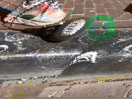 De fossiele wereld van Amsterdam