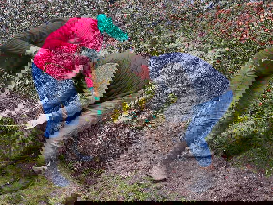 Heggenfestijn op bedrijventerrein