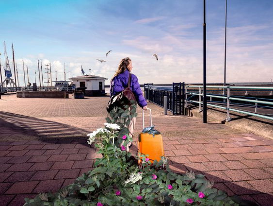 Wat zijn de gevolgen van invasieve exoten op de Waddeneilanden?