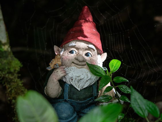 Kettingreactie 7 januari 2025