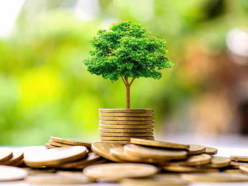Tegendraads: Kom van die bank af