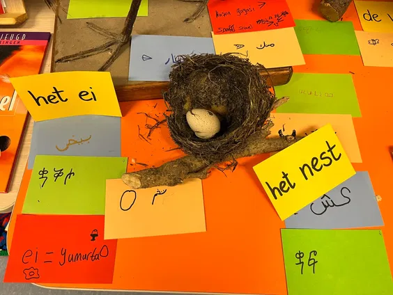 Een klaslokaal vol taal