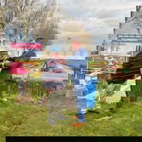 Henk heeft 2000 soorten tulpen in zijn achtertuin