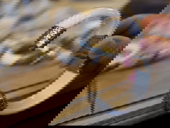 Nog steeds handel in ivoor ondanks strengere regels