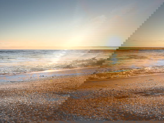 Wat wordt het schoonste strand van Nederland?
