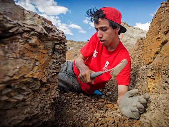 Paleontoloog Jimmy de Rooij onderzocht de vijf dino's die nu in Naturalis te zien zijn