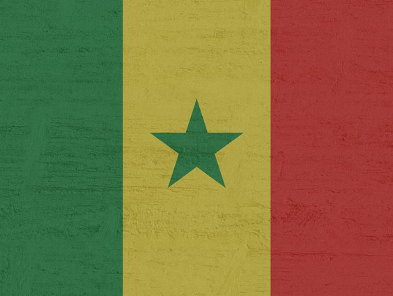 De voetbalplaatjes van Senegal!