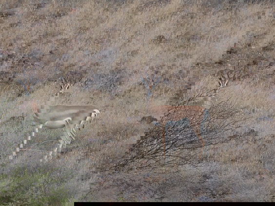 Op expeditie in het extreme noorden van Kenia