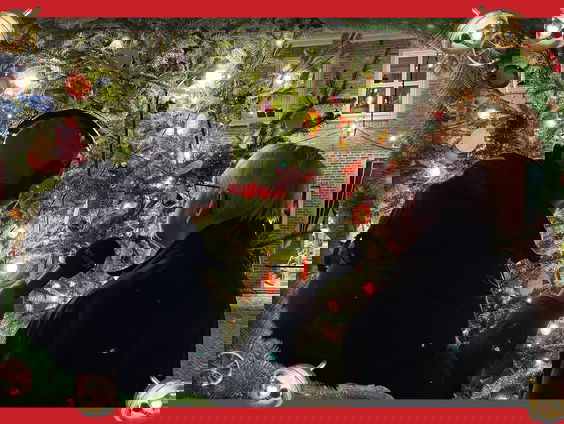 BertOp5 onder Joris' Kerstboom: Wouter denk nog iedere dag aan zijn zus