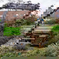 Dit gebeurt er met jouw kerstboom als hij is opgehaald