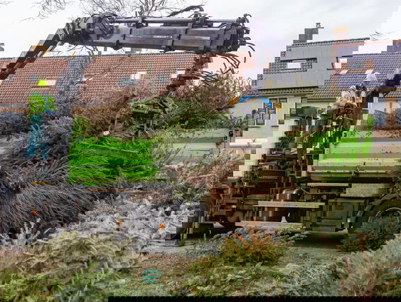 Dit gebeurt er met jouw kerstboom als hij is opgehaald