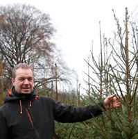 Robert bouwt een duurzaam kerstbomenbos