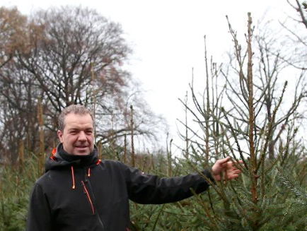 Robert bouwt een duurzaam kerstbomenbos