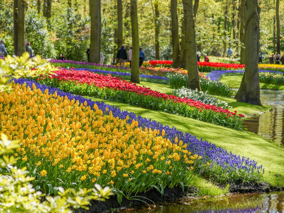 Museumtip: Keukenhof viert 75-jarig bestaan